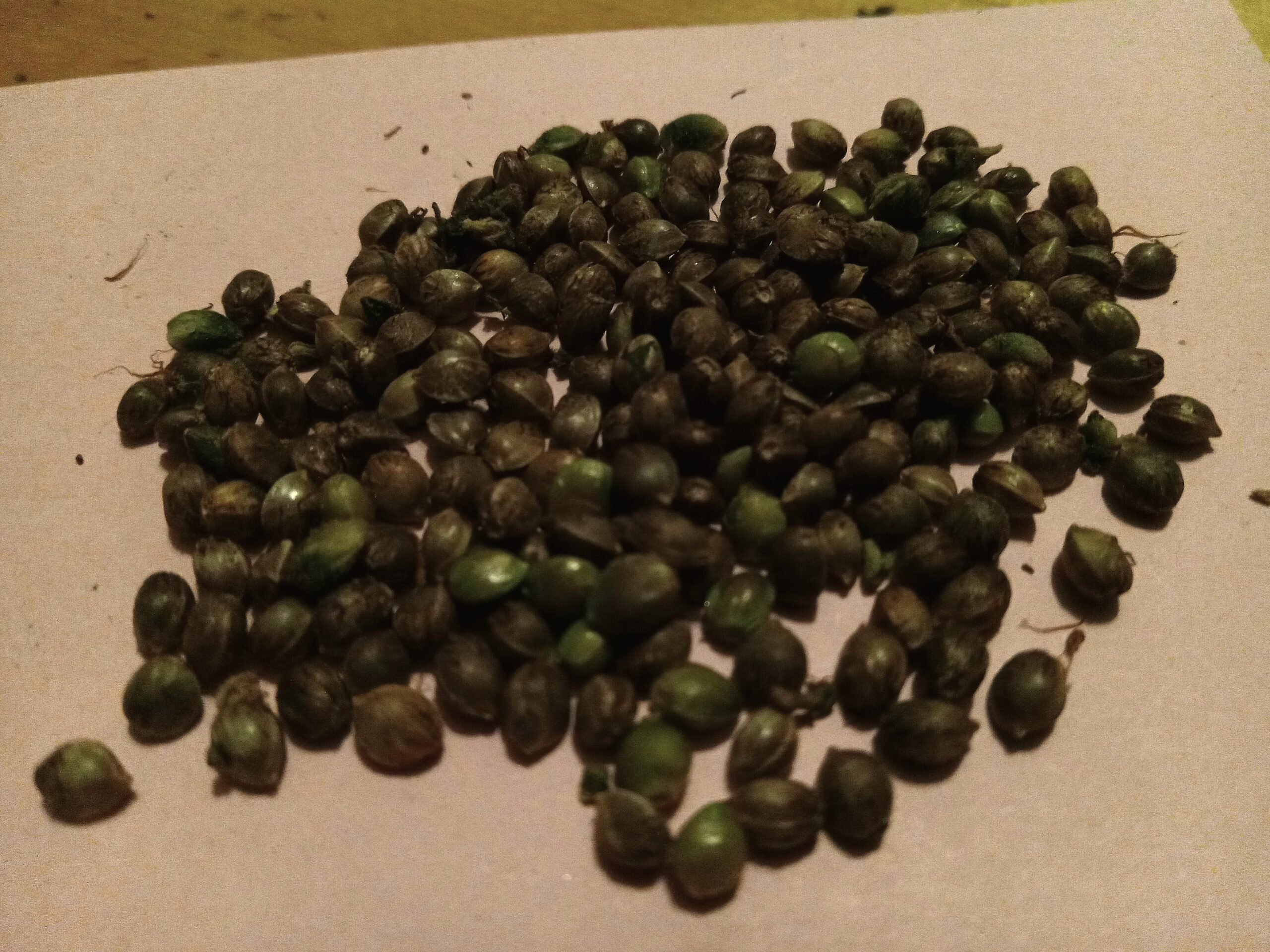 Seed self-sufficiency