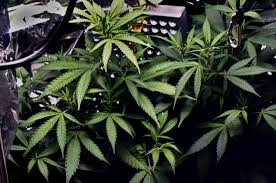 Let there be light…Ahhhhhhhhh